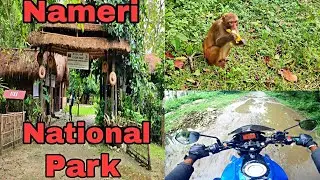 Tezpur To Nameri Ride.Nameri National Park. Eco Camp.Gyp Vlogs.