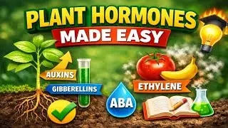Plant Hormones You Must Know for JAMB 2026 | Biology Made Simple