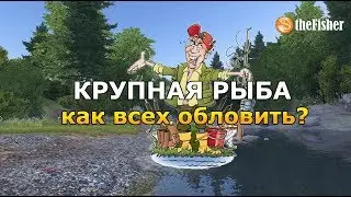ЗАЧЕМ НУЖНЫ ПОВОДКИ? Гайд theFisher Online