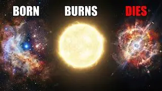 Journey of a Star | Space Fact
