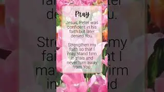 Easter Bible Study Day 7:Matthew 26:31-35 #easterbiblestudy #easterprayer #holyweek #verses