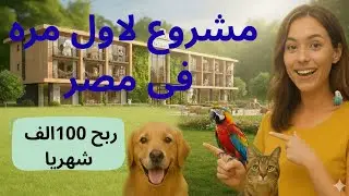 مشروع فندق للحيوانات بأرباح خياليه ، فكره جديده  
