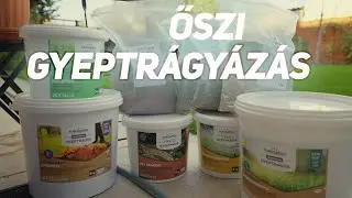 Hogyan tápláljuk a gyepet ősszel?