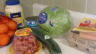 ALDI HAUL FOR THE WEEK! WHAT DID I BUY FOR UNDER $20? ⬇️ $100 4 WK BUDGET #aldigroceryhaul 