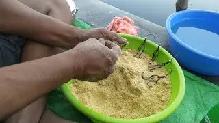অশোকনগর পীর পুকুর // Fishing Video ✅// 🎣 Traditional Hook Fishing // ‎@Hookfisher 