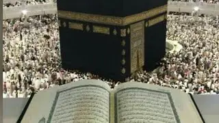 Surah Fajr word by word translation in Bangla repeating  natural love creator is live!