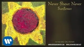 Never Shout Never - 