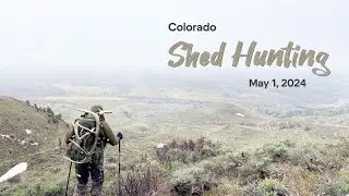 Colorado Shed Hunting - Opening Day 2024