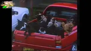 VN Commodore Ute, Retro Television Commercial #1