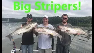TENNESSEE RIVER MONSTERS!