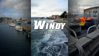 EXTREME WINDY Street Photography