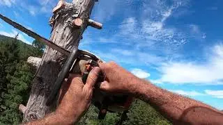 WORK VIDEO (Redwood Removal)