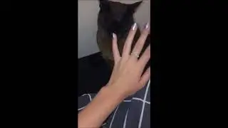 TAKE MY COLLAR OFF & MEET MY LONG LOST SISTER (NOTCLICKBAIT!!!)