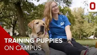 Find Your Place: Training Service Dogs on Campus