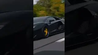LAMBORGHINI AVENTADOR CINAMETICS| 