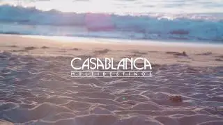 &iquest;C&oacute;mo es viajar con Casablanca Multidestinos?