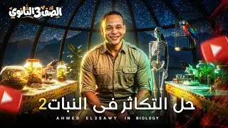حل كتاب الامتحان 2 | التكاثر في النباتات الزهرية - أحياء 3 ثانوي 🧬|ثانوية عامة 2026|