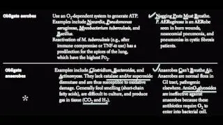 Obligate aerobes and Obligate anaerobes [USMLE]