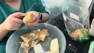 &ldquo;No talking | Peeling & eating glass melon | Relax 18 min&rdquo;