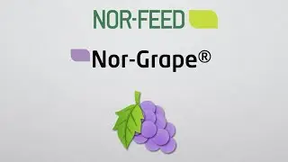 Nor-Grape&reg;: a natural solution to compensate oxidative stress in animals