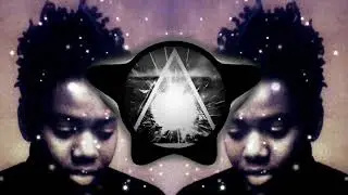 Tracy Chapman - She&rsquo;s Got Her Ticket ( BASSITZ BOOTLEG )
