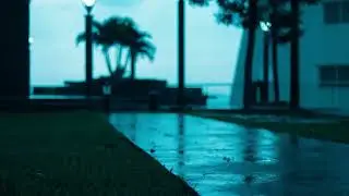 Light rain. Light jazz for relaxation. Relax music. SERGEY RELAX - Sounds of nature.Beautiful music.