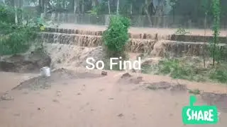 You Tube For Smind World