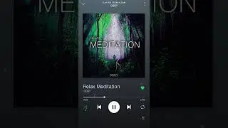 Relax Meditation Spotify Song Part 9