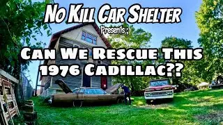 Can We Rescue This 1976 Cadillac?? No Kill Car Shelter