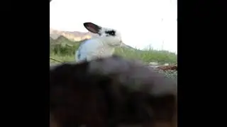 ямом эфире!