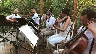 Entrada da Noiva Yuri | Marcha Nupcial + La Vie En Rose | Músicos Para Casamento