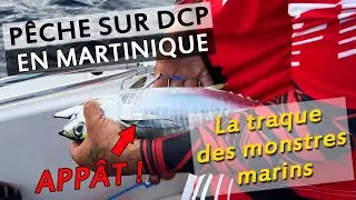 Recherche de POISSONS GEANTS sur DCP en MARTINIQUE, l'exp&eacute;rience de P&Ecirc;CHE ULTIME en mer des CARAIBES