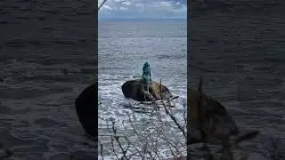 #Mermaid of the North 😍 #travel #scotland #safar #foryou