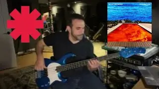 Purple Stain - Red Hot Chili Peppers (Bass Cover)