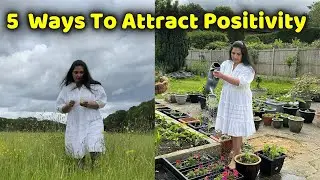 Better Life Hacks Tested We Found the Top 5 That Actually Work!