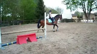 Detente au trot
