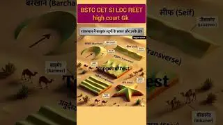 🔥राजस्थान जीके 🫵#bstc #gk #cet#viral #currentgkrajasthan #motivation #4thgrade #ldc #shorts#study#si
