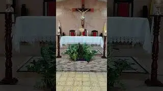 Se que estas aquí, en este lugar aunque mis ojos solo miran el pan... 