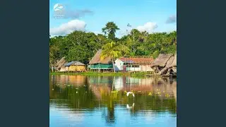 Lively Soundscape of the Jungle