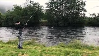 Kona f&aring;r laks - tilbakeblikk J&oslash;lstra 2017
