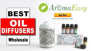 Wholesale Diffusers Mini Essential Oil Diffuser X117C
