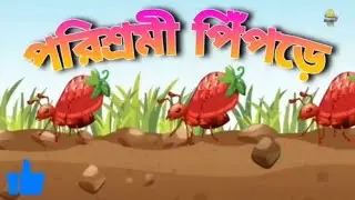 পরিশ্রম পিঁপড়ে parishram pipra Bangla cartoon 2025 new Bangali cartoon Bangla video