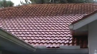 Englewood Rotonda Port Charlotte North Port Roof Cleaning Bergman