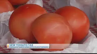 New tomato tax means price increases and shortages likely