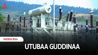 UTUBAA GUDDINAA etv |Ebc |Etv Afaan Oromoo|