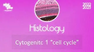 L8 , Cell cycle and cell division 1 (mitosis) , Histology