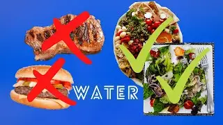 A WORLD RUNNING DRY Exploring the water footprint, and environmental impact of animal agriculture