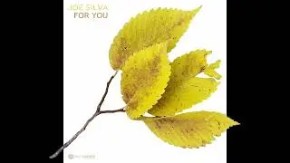 Joe Silva - For You
