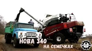 Комбайн Нова 340 на уборке семечек. Уборочная - 2022.