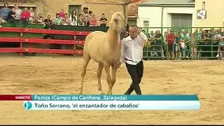 El encantador de caballos